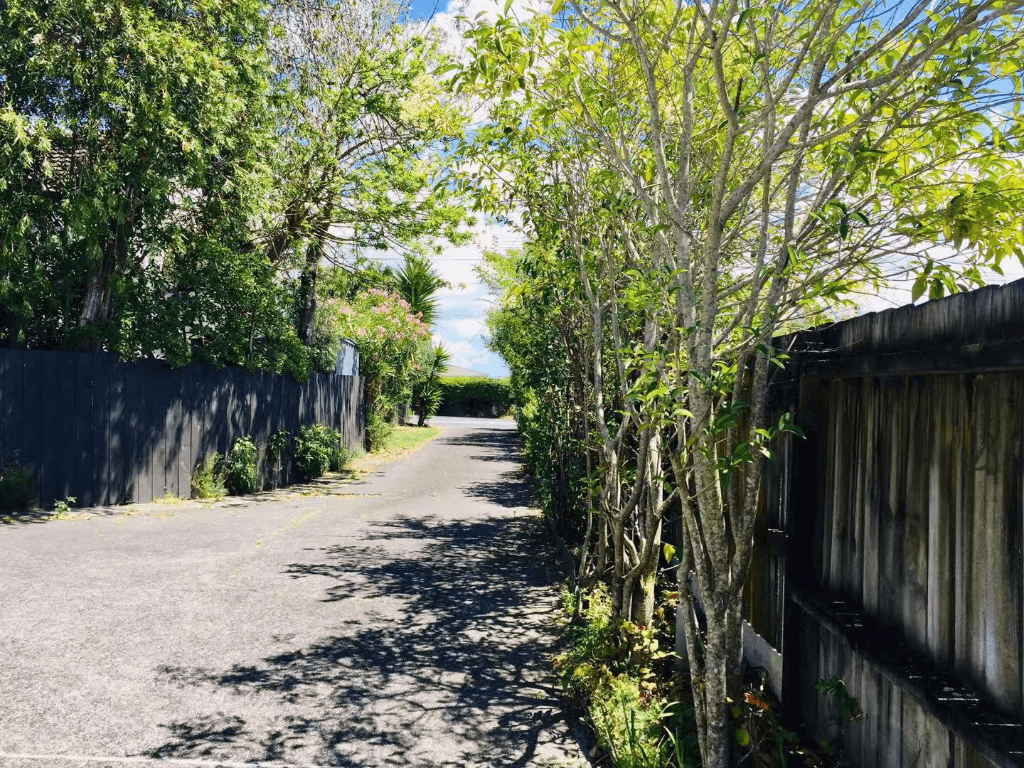 4 Felicity Place, Unsworth Heights, Auckland thumbnail 6